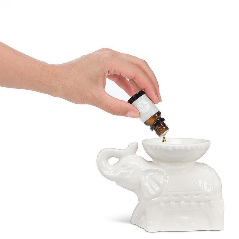 Accessoires de bougie avec porte-porcelaine