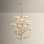 Pluro Chandelier-1668177089