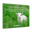 God In Him 2 Corinthians 5:21 - Wrapped Canvas Print-2047909331