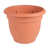  Terra Cotta selected