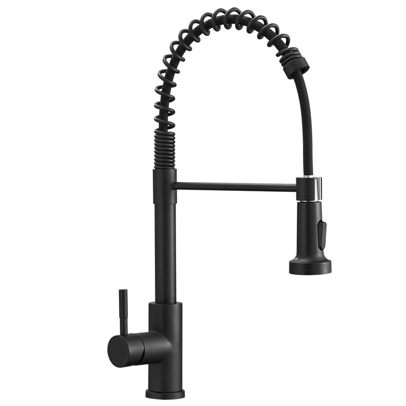 Robinet de cuisine Topcraft à poignée unique et douchette extractible, Gris / Noir mat