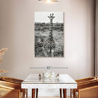Brampt Awesome Afrique du Sud - girafe d'Afrique