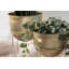 Beamon Metal Pot Planter - Set of 2-2058777832
