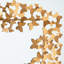 Miroir mural Mellisia