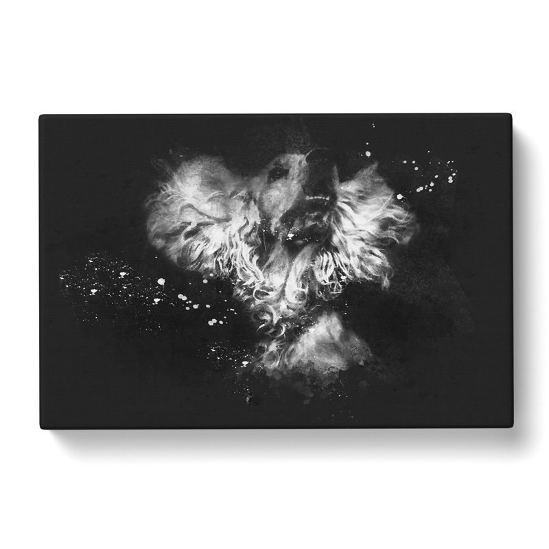 Cocker Spaniel - Wrapped Canvas Print, 35cm H x 50cm W x 3cm D