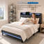 Upholstered Bed-55056311