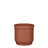 Privet Pot Planter-2015162406