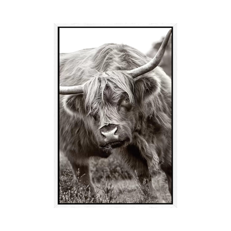 The Bull by Jacky Parker - Print on Canvas, 66.04cm H x 45.72cm W x 3.81cm D, White Floater Framed