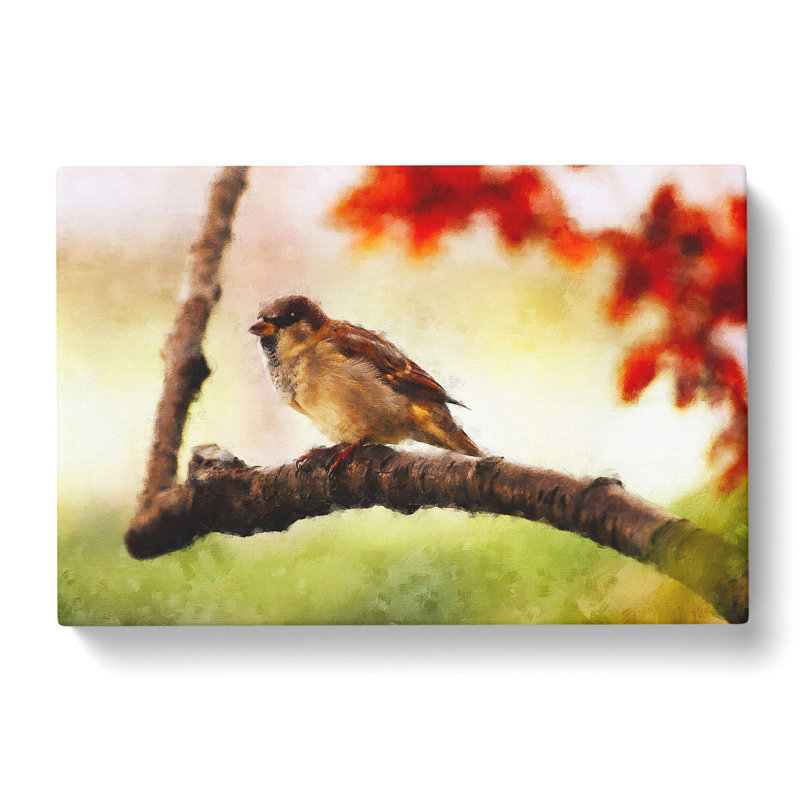 Sparrow Bird Vol.1 - Wrapped Canvas, 35cm H x 50cm W x 3cm D