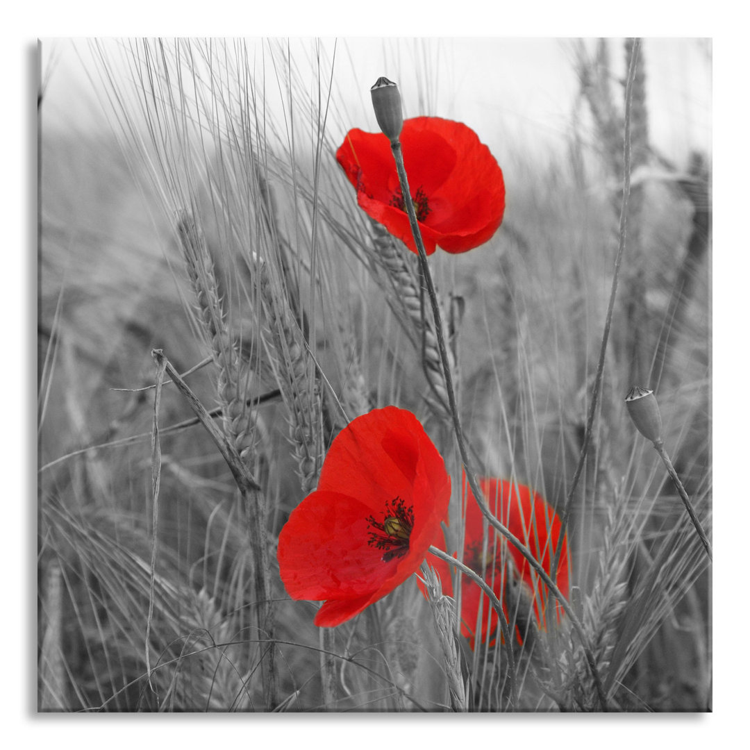 Ungerahmtes Foto auf Glas "Poppies in a Cornfield"