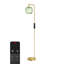Arched Floor Lamp With Glass Shade, Remote Control And Bulb Included-1580996816