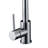 LITTLE TREE Pull Out Kitchen Faucet