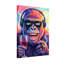 Animaux, singe avec casque et vin-1134191781