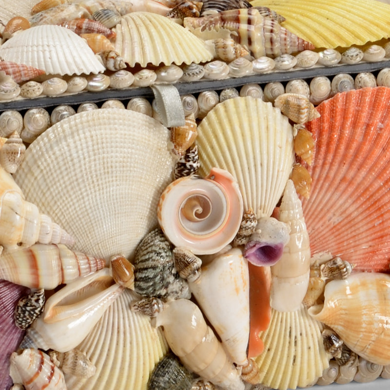 Shell Decorative Box