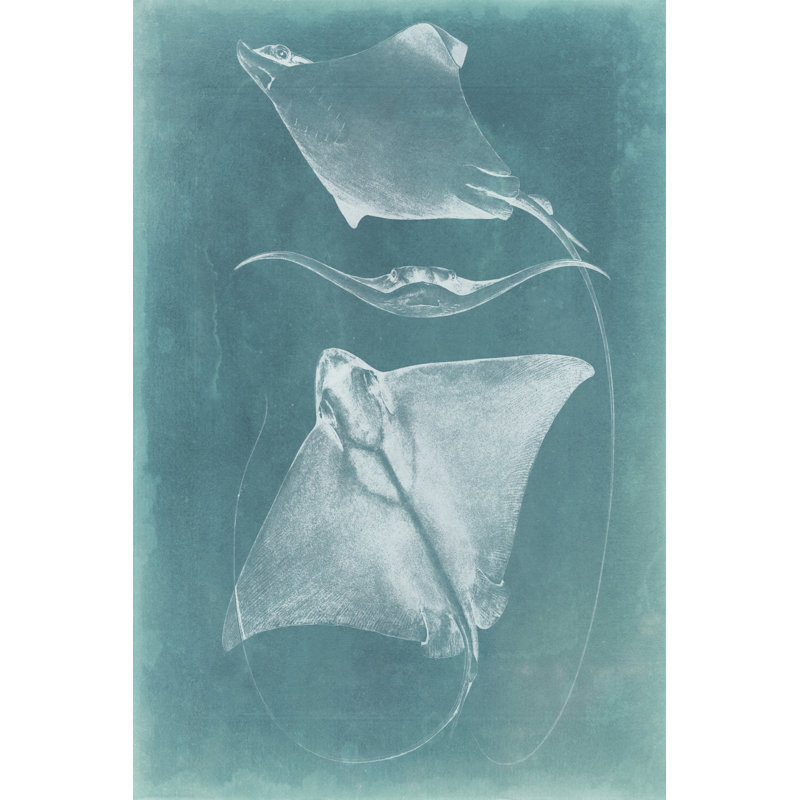 Morning Swim III 1 Piece Wrapped Canvas Painting, 122cm H x 81cm W
