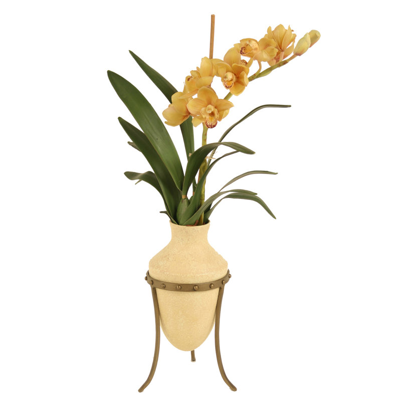 Orchidées cymbidium champagne dans un vase étrusque et un support en métal