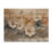 Soft Creamy Morning Glory Flowers Field IV - Morning Glory Wood Wall Decor - On Natural Pine Wood-1780218000