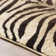 Poway Animal Print Dark Brown/Beige Area Rug