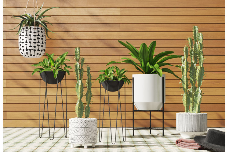 apartment gardening ideas