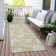  Machine Washable Indoor/Outdoor Chayden ACN1032 Rug