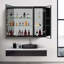 Miroir pour pharmacie Delcine