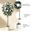 Arrangement