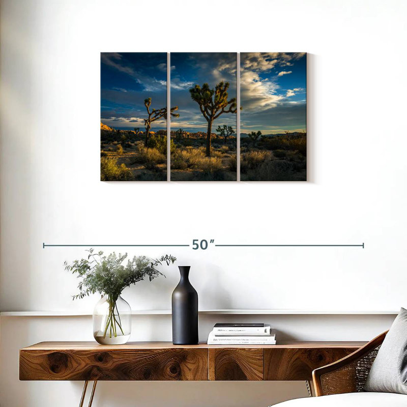 Sebbie Joshua Tree National Park Scenery, 20" H x 33" W