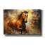 Course de chevaux-101618219