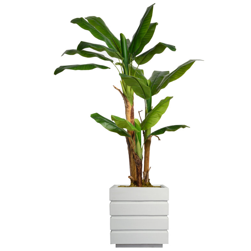Feuille de bananier artificielle 52 po Panama, Blanc