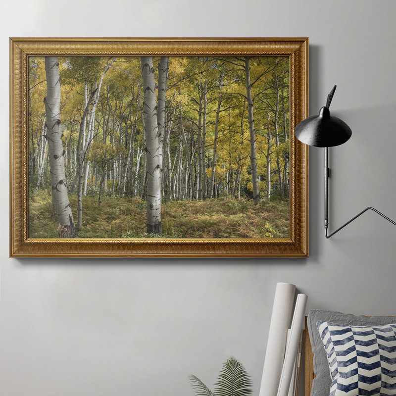 Aspen Grove II - Peinture sur toile encadrée, H 16 po x l 20 po