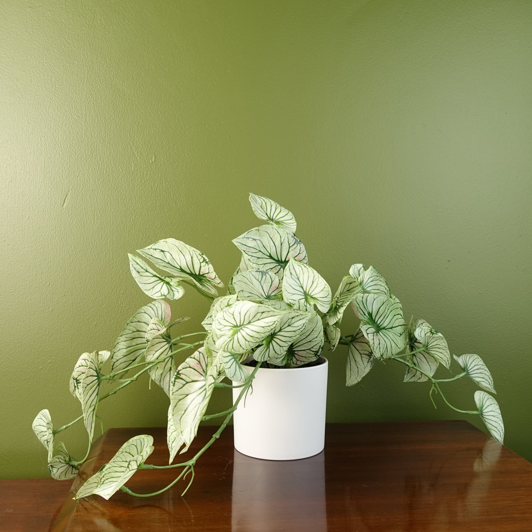 Foliage Plants 30cm Faux Plant in Planter