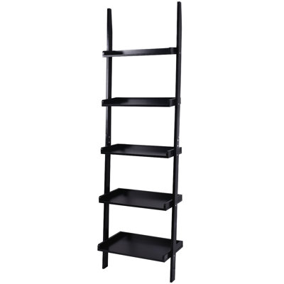Luz Ladder Bookcase