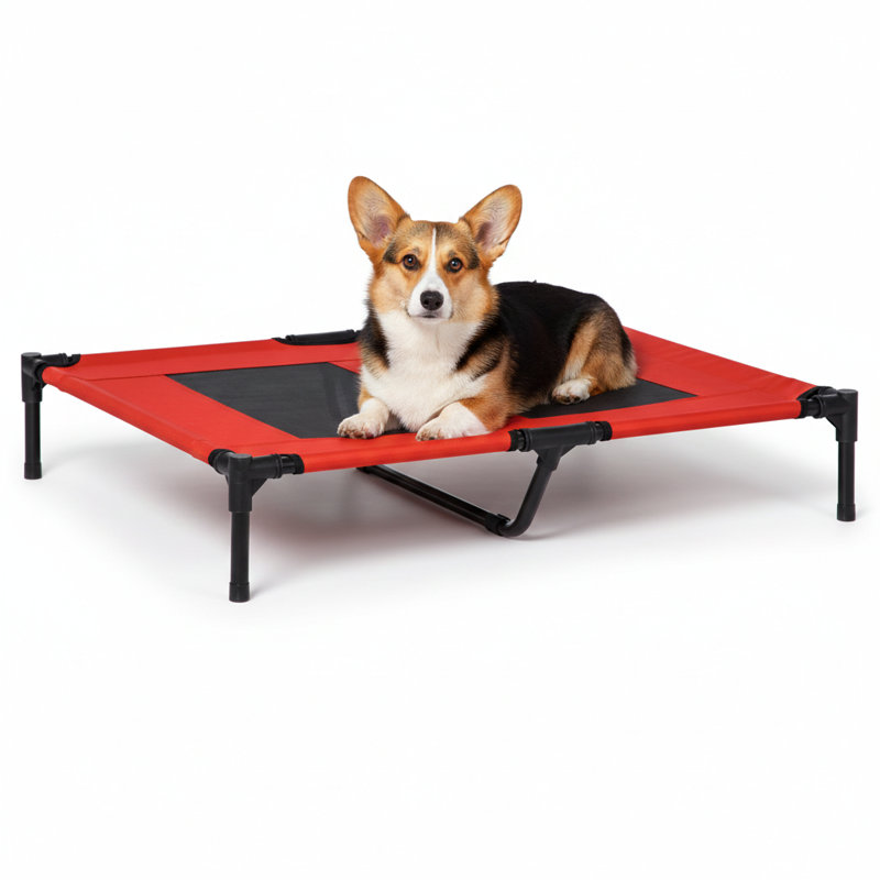 Lit de camp surélevé pour chien 36 po x 30 po