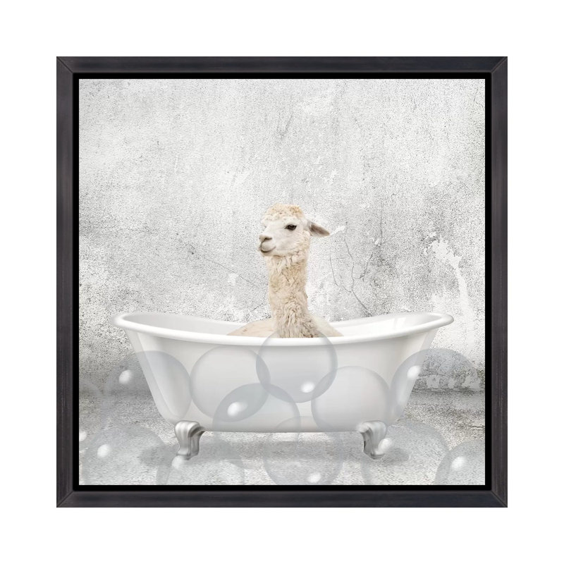 «Baby Llama Bath» par Kimberly Allen - impression d'art graphique, H 37 po x l 37 po x P 1,5 po, Toile avec cadre noir patiné