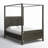 Mahika Solid Wood Canopy Bed-978807252