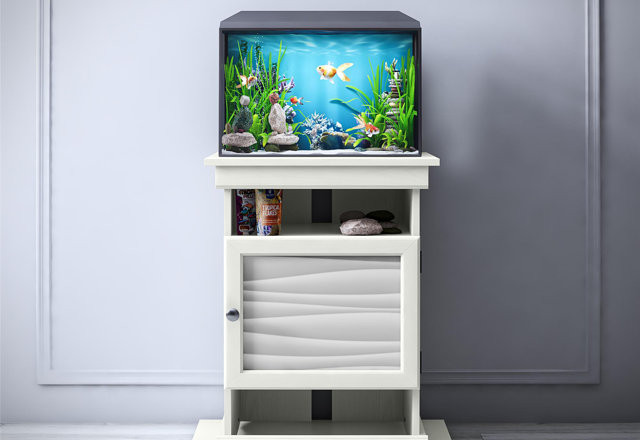 Our Favorite Unique Aquariums