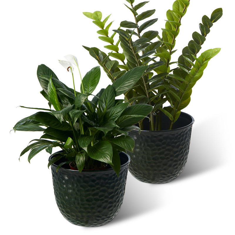 15.25"D Set Of 2 Honeycomb Textured Green Faux Ceramic Pot Plastic Planter, Green