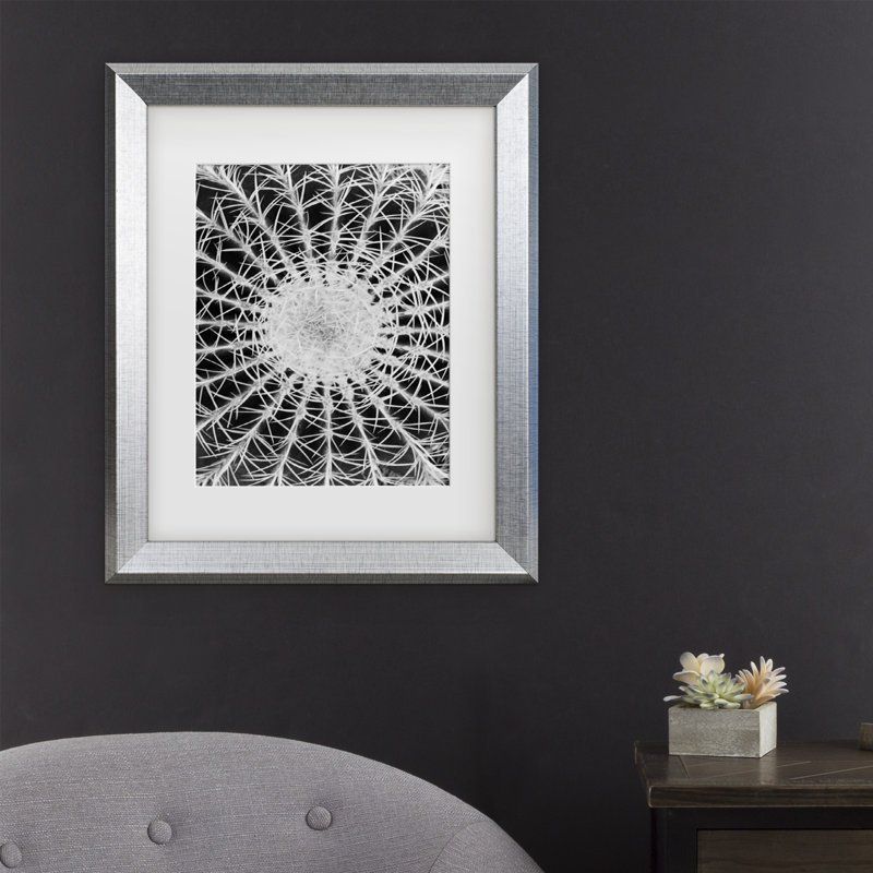 Cactus par Kurt Shaffer - reproduction de photo sur toile encadrée, H 14 po x l 11 po x P 0,5 po, Cadre noir
