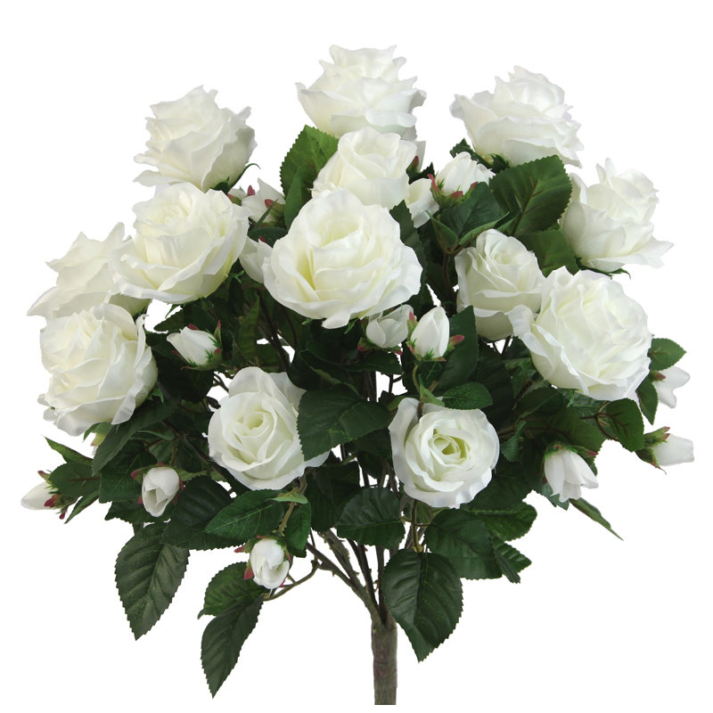 Fleur rose, Blanc