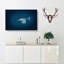 Swimming Dolphin - Wrapped Canvas-55358938