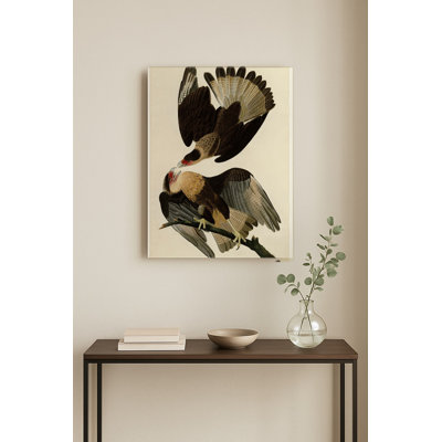 Aigle Caracara du Brésil (Planche 161) — Portrait en métal