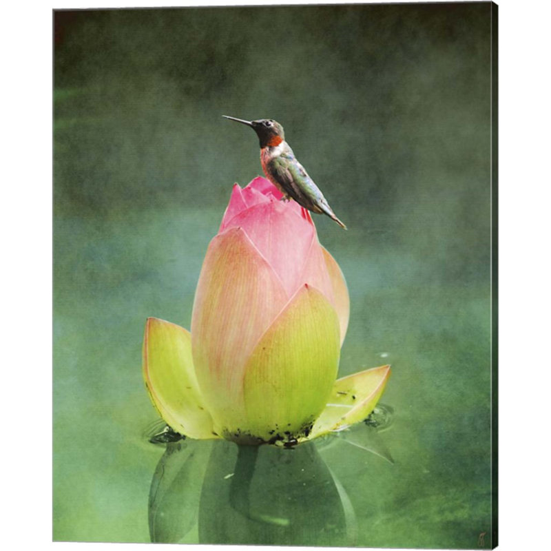 «Hummingbird and the Lotus Flower» par Jai Johnson, art mural sur toile