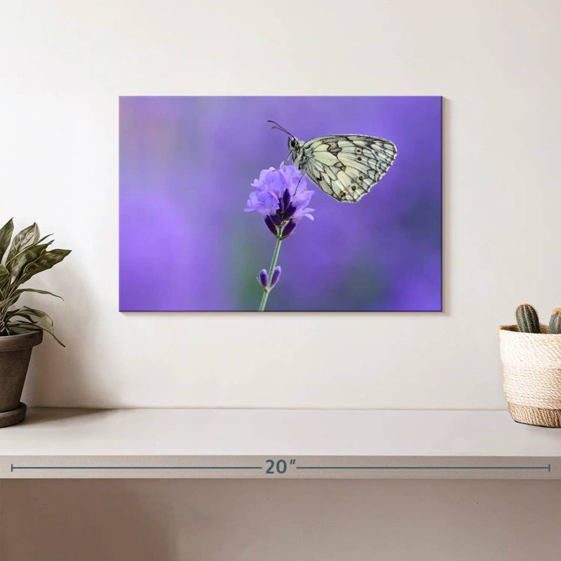 Brampt Marbled White Butterfly, 8" H x 12" W
