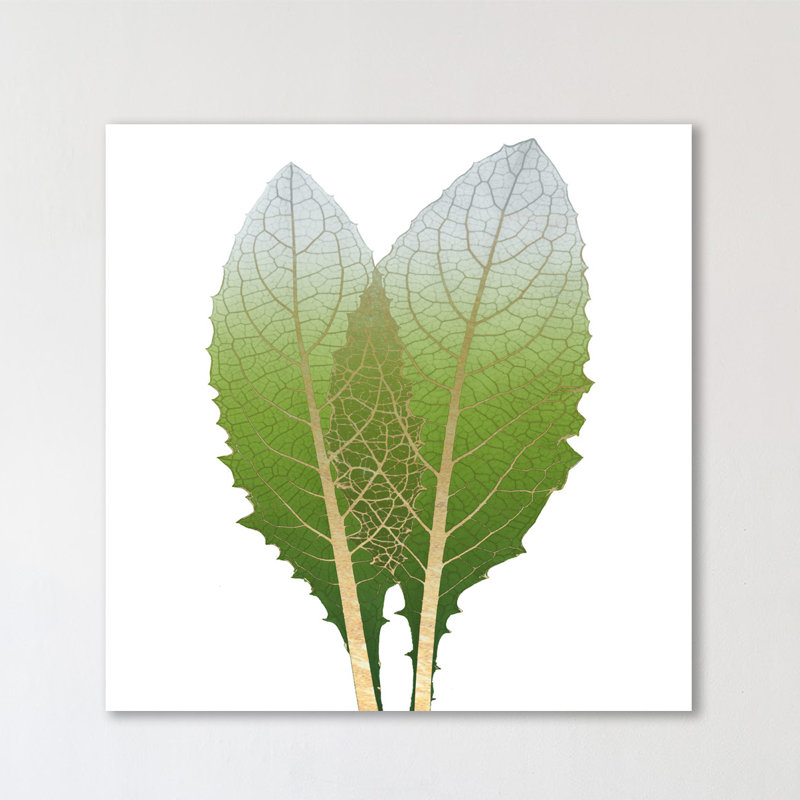 Artichoke - Wrapped Canvas Print, 30 cm H x 30 cm W