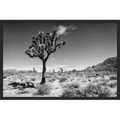 Joshua Tree 1 Print by Christopher Kennedy