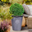 Rustic Style Rolled Rim Vase Planter-32389893-32389894