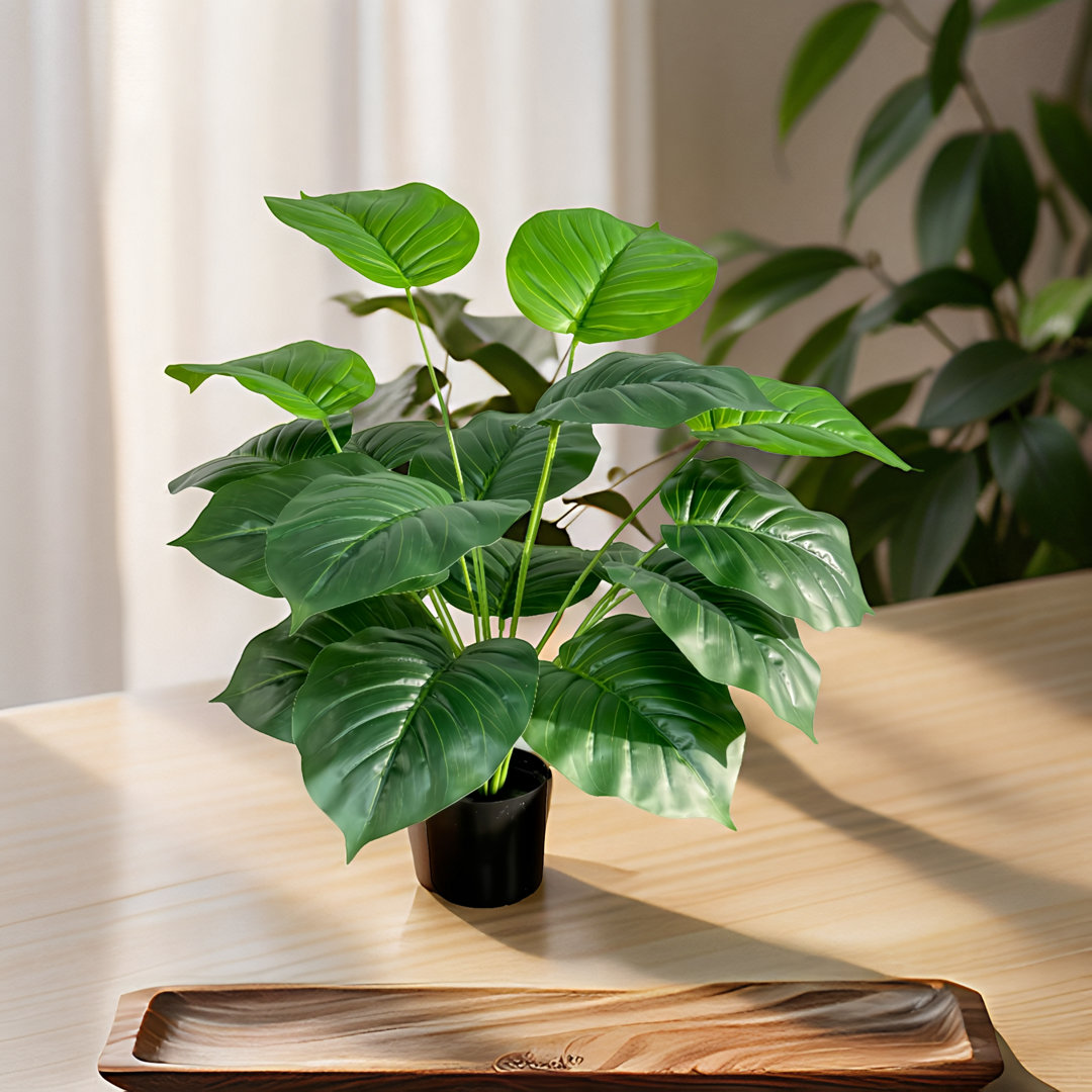 Faux Ivy Plant 31.5" Adcock Faux Plant Pothos In Black Pot with Dried Moss  Primrue Set 