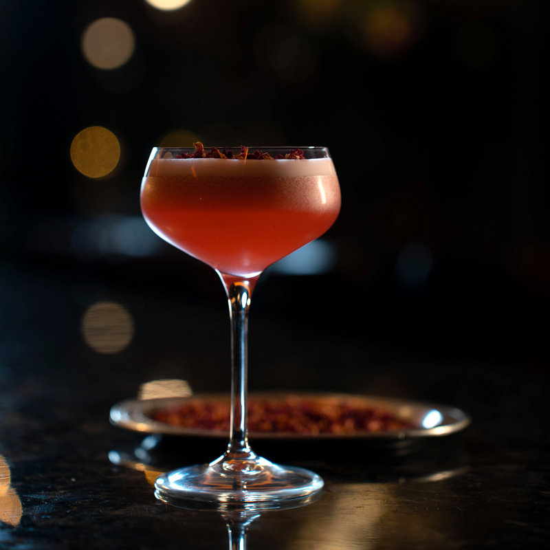 Bartender 8.5 oz. Novecento Cocktail Coupe