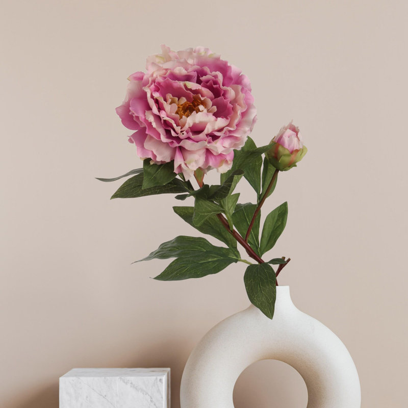 Tige de pivoine, Mauve, 3
