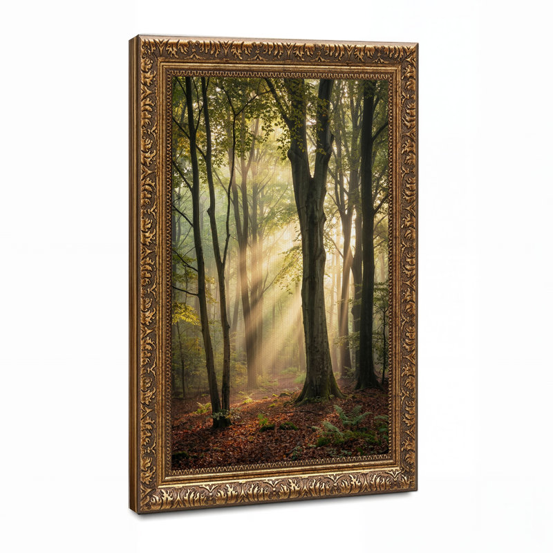 Toile dorée à travers de grands arbres forestiers, art mural, H 24 po x l 16 po